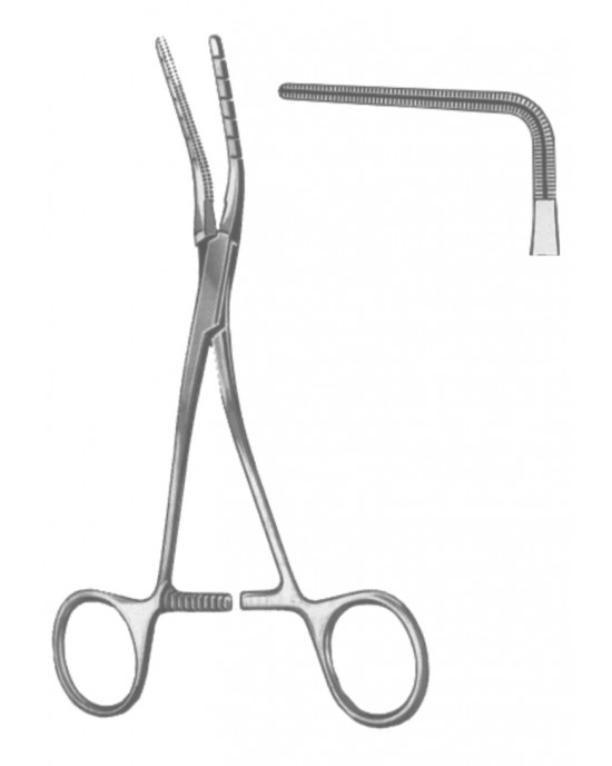 SS-19-5596-01