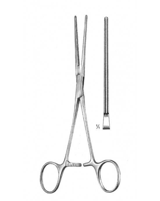 SS-19-5808-17