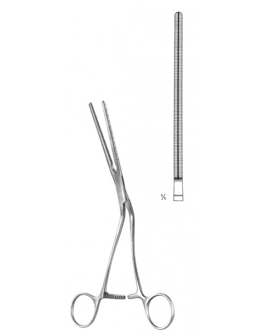 SS-19-5823-25