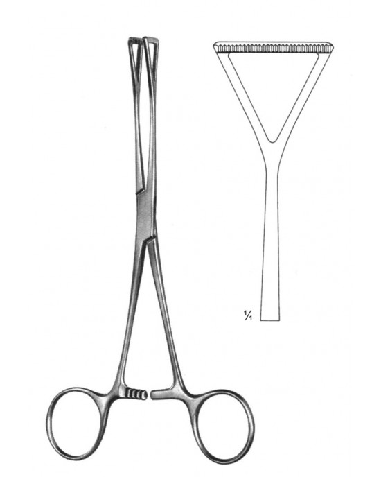 SS-19-5852-23
