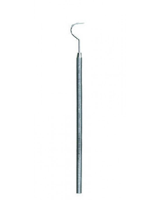 Probe 